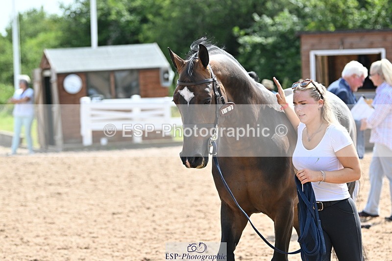 240717A-154632-03064 - Trot Up 3pm to 4pm