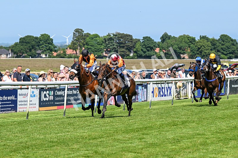 250624-Race 4-Lincoln Rockstar-5622 - Race 4