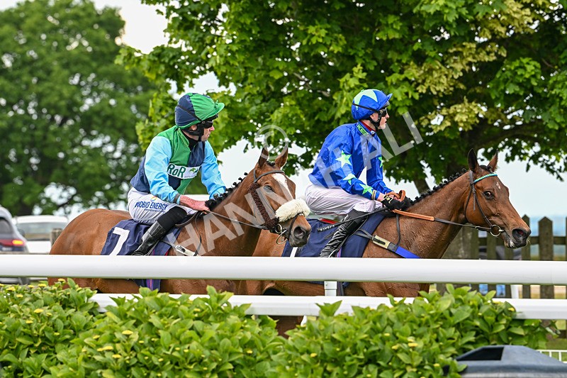 280525-Race 4-Princess Niyla-5271 - Race 4