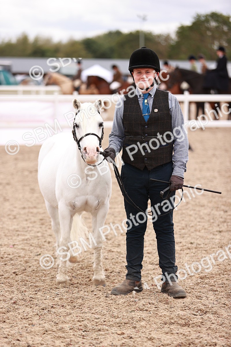 SBM_18573 - Class 421 - Childs Best Friend - Jnr