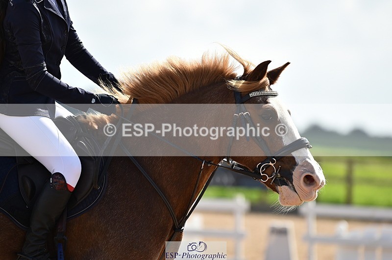 230902A-143326-01782 - Cls 3B Pony Medium 90cm