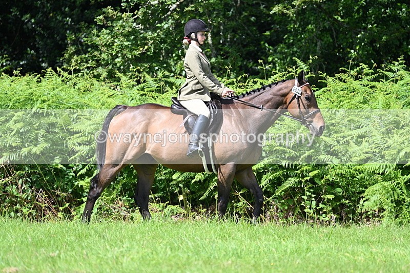 WJ7_1517 - Class 11 Condition & Turnout