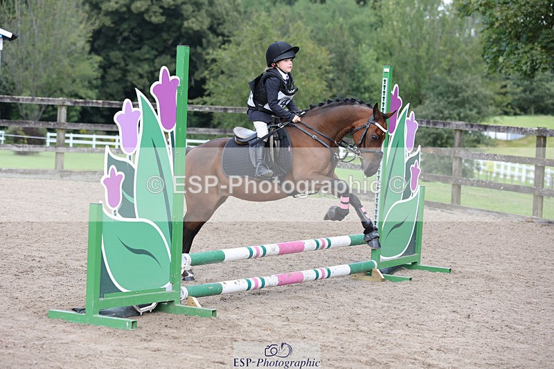 240822X-155311-12965 - 40cm A R1 15.53 to 16.48