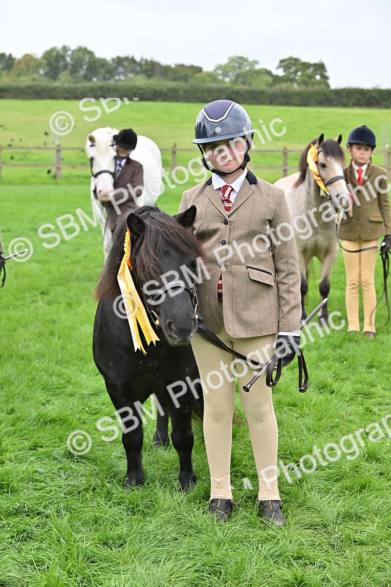 SBM_68636 - S42 - Junior Handler 9-12 Years