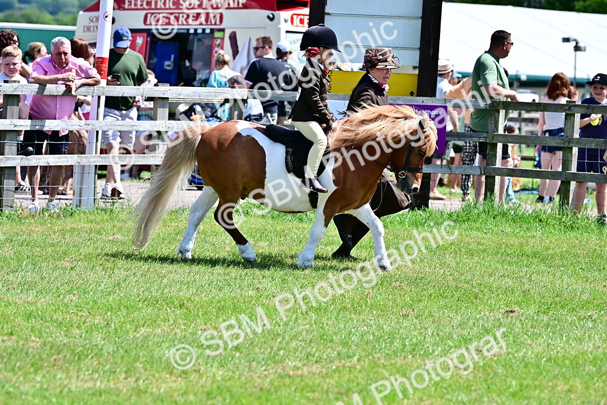 SBM_05814 - Class 59-60 - TSR M&M  Lear Rein and First Ridden Amateur of the year