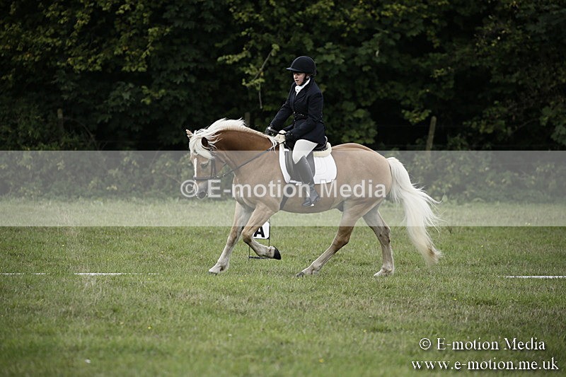 BVR090918 59 - BVRC Dressage and Show Jumping 09/09/18