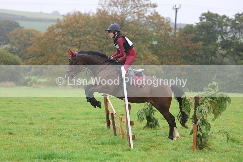 3E7A0908 - Class 1: 65cm: Rails