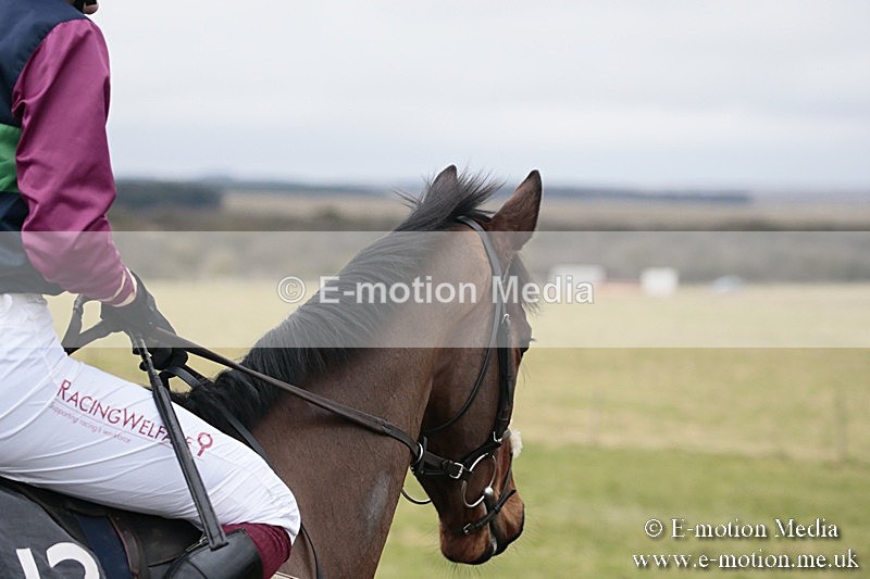PtP 180218 362 - Combined Services Point-to-Point Larkhill 18/02/18