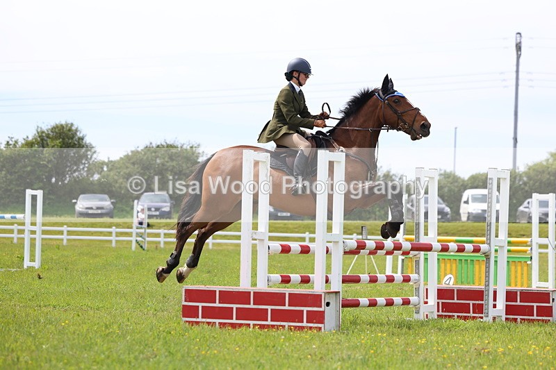 3E7A1867 - Class 13: Senior British Novice/90cm open