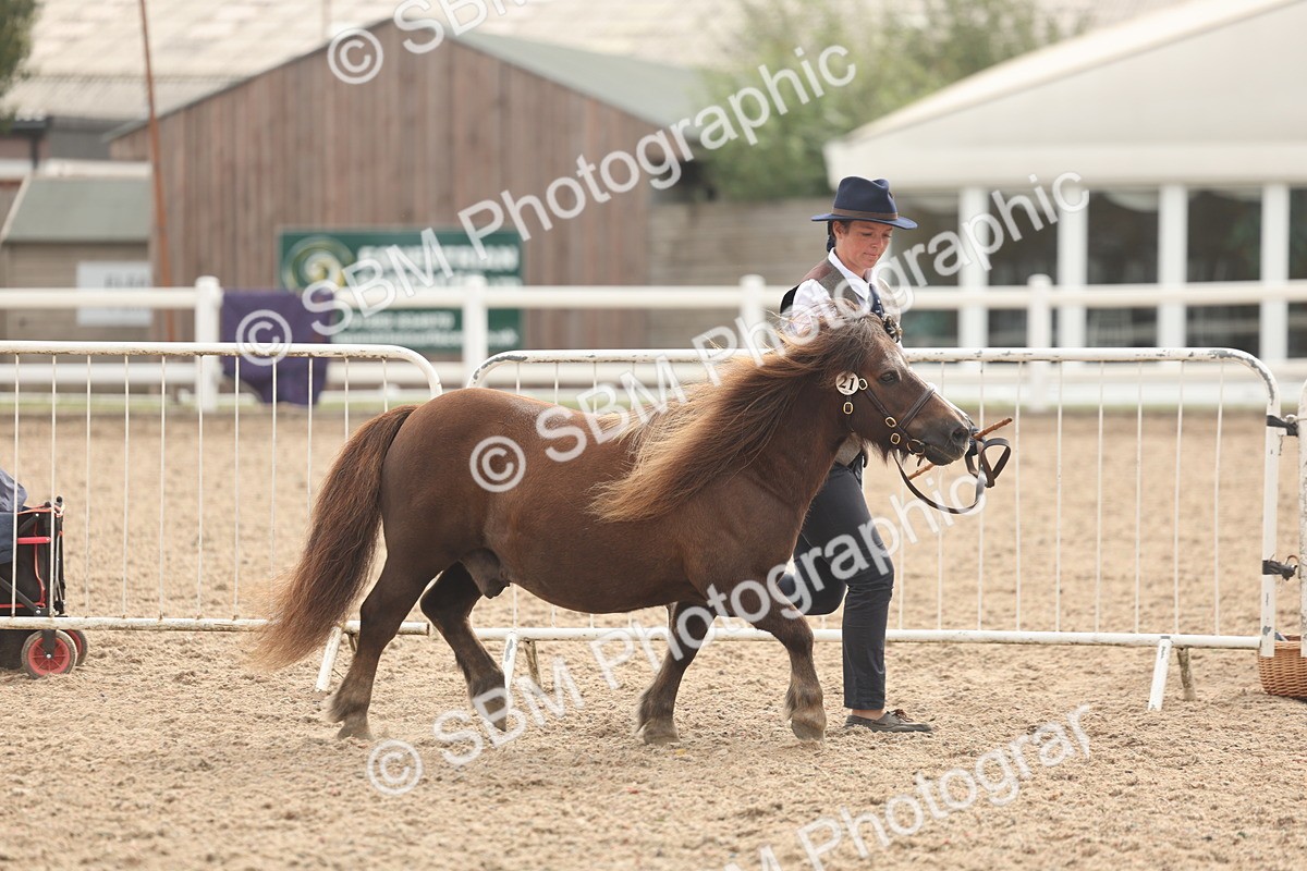 SBM_03170 - Class 16 - IH M&M Wildcard