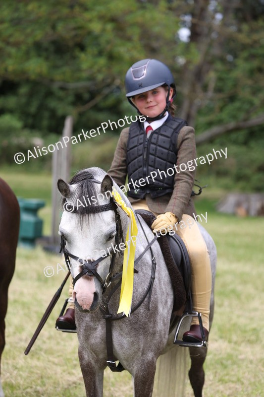 20260614-3187 - Class 22 - Open Working Hunter