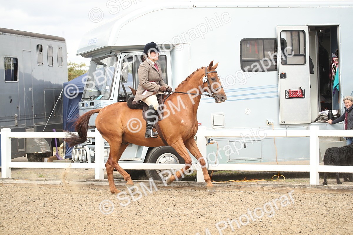 SBM_16589 - Class 506b - Working Veteran - 50cm (20+)