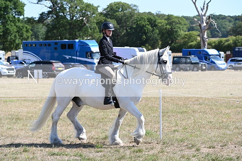 WJ6_8261 - Class 37a Best Loan Pony Ridden