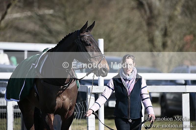 PtP 240218 189 - Vine & Craven Hunt Point-to-Point Barbury racecourse 24/02/18