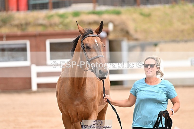 250716-150840-01681 - Trot Up 2.30 to 3.30