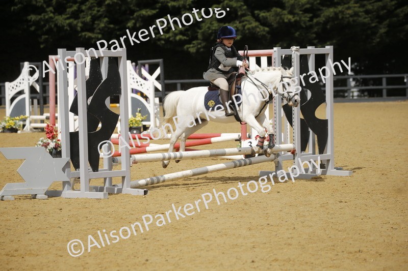 20250622-3716 - 50cm