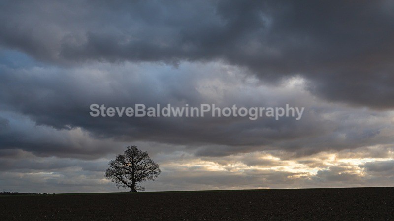 Silhouette in the Storm: 261E - Earth: Close to Home
