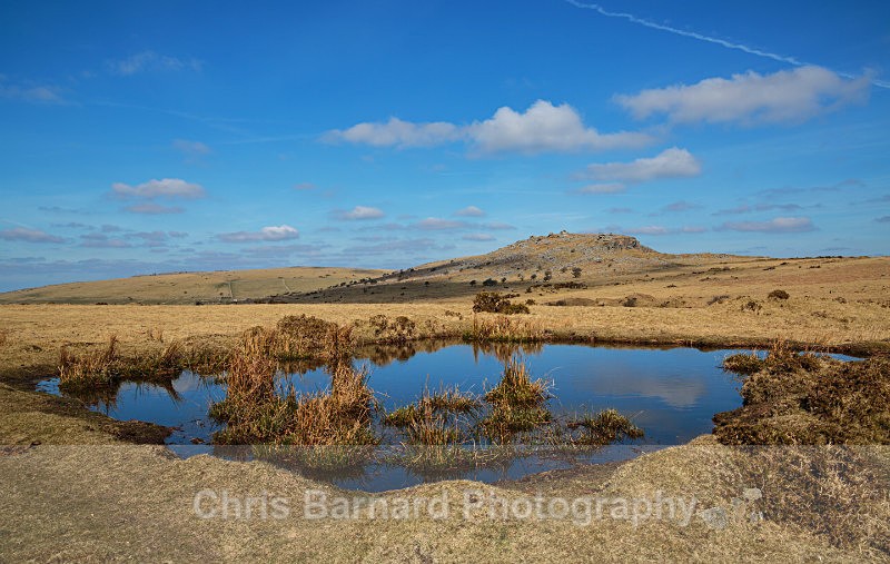  - Bodmin Moor