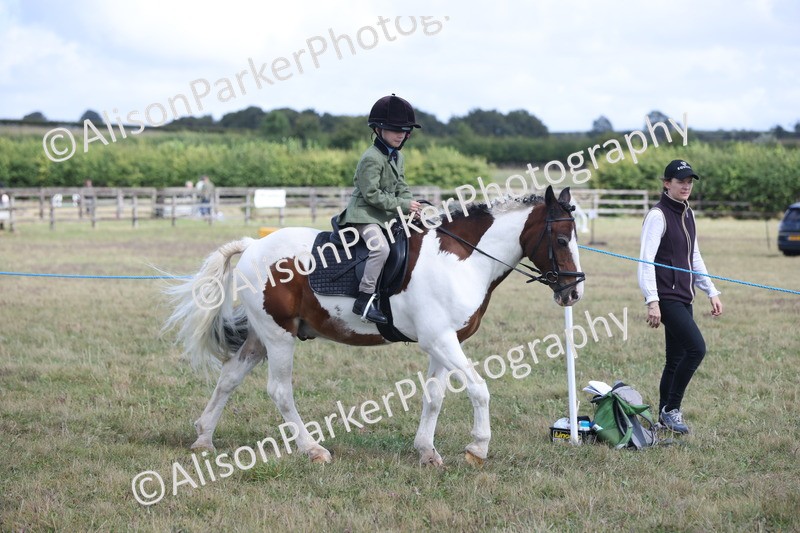 20250831-4190 - Class 20 - Ridden Coloured