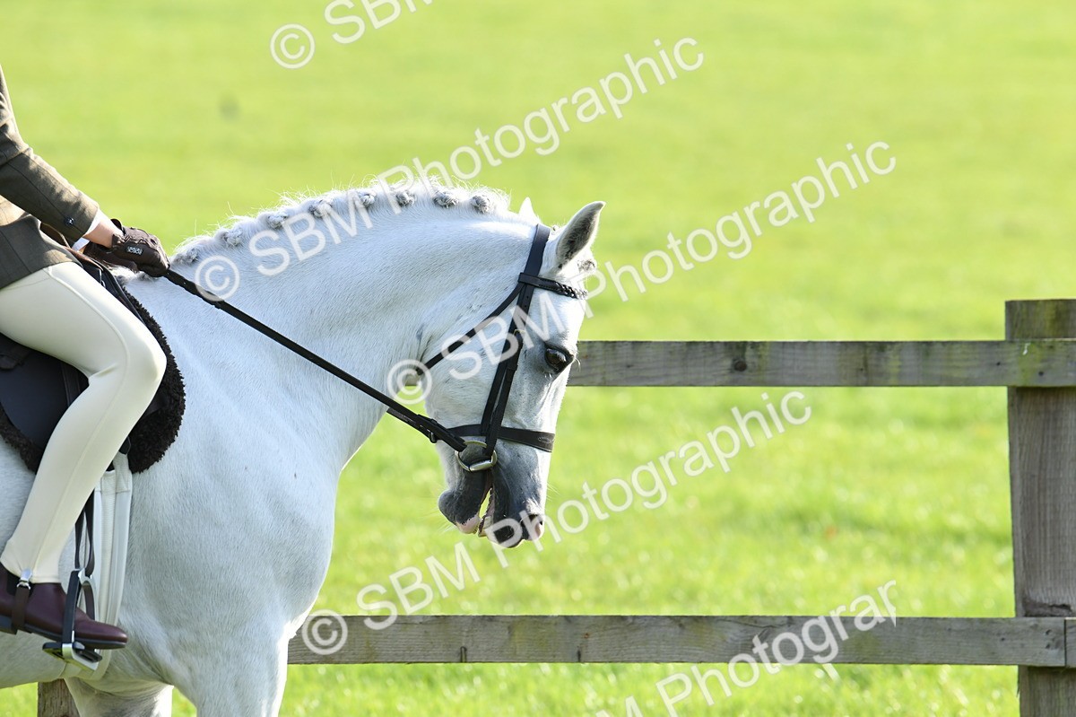 SBM_52360 - S22 - 1st Ridden Show & Show Hunter Pony