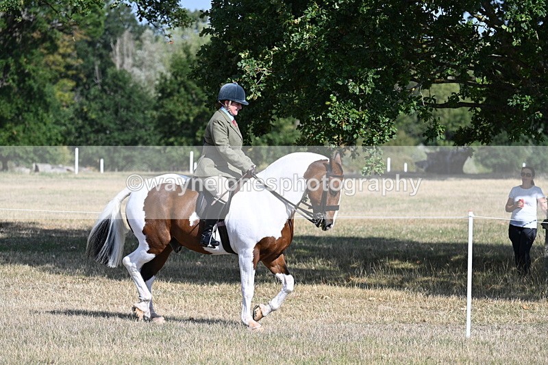 WJ7_2782 - Class 8 Ridden Tack & Turnout