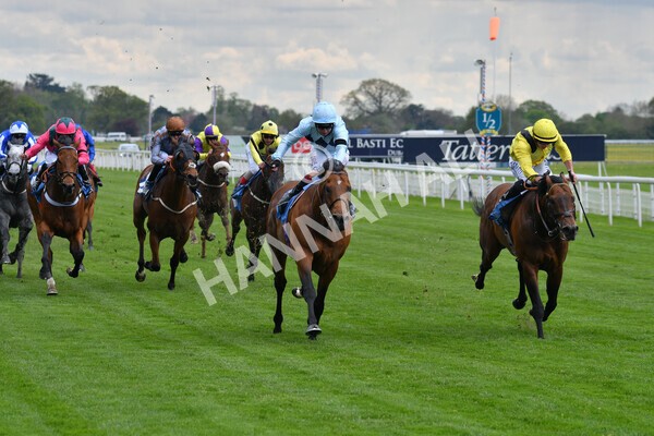 yr12052021r3-18 - Race 3 2.40pm Duke of York Clipper Logistics Stakes