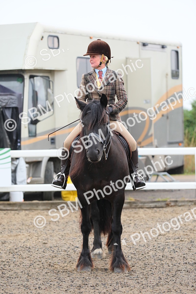 SBM_19952 - Class 801 - Ridden Veteran