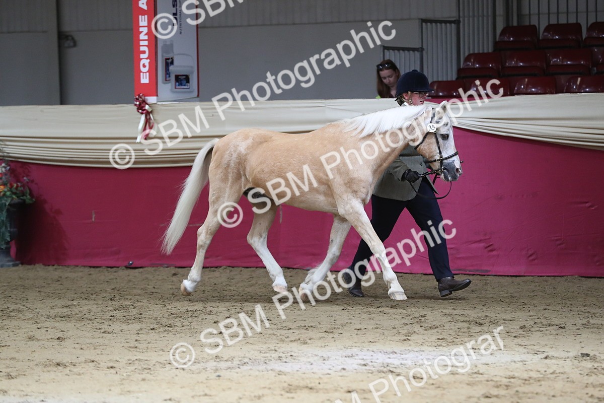 SBM_04382 - Class 7R Regional - IH Diamond