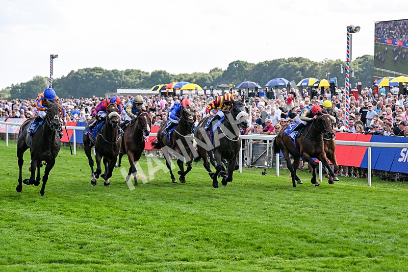 220826-Race 5-Sondad-1086 - Race 5 16.10pm Sky Bet Constantine Handicap