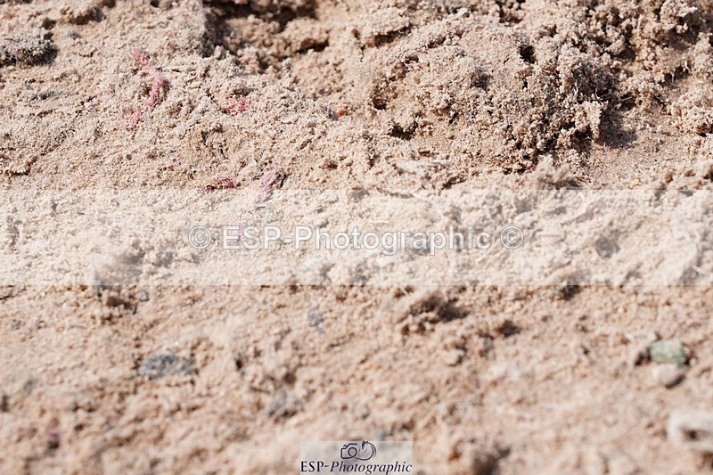 250427-112518-16212 - Cls 4 - 2 Star Small Tour