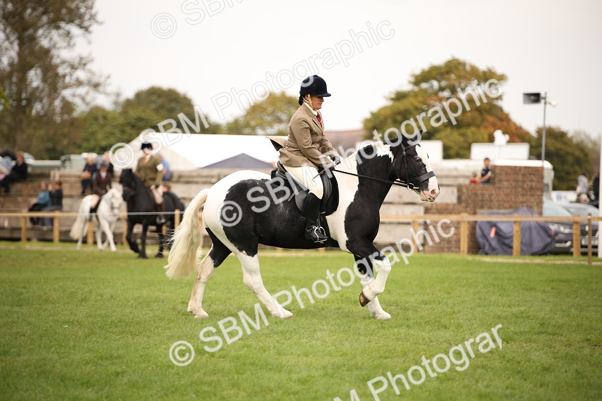 SBM_72391 - S67 - Show Cob Ridden