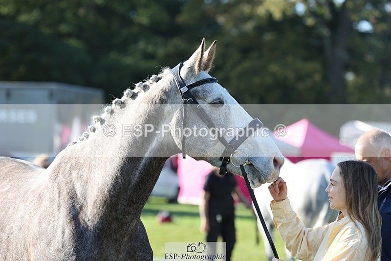 241027-100558-15689 - 562-Hannah.Wells-FOURFIELDS.HIGH.SEAS