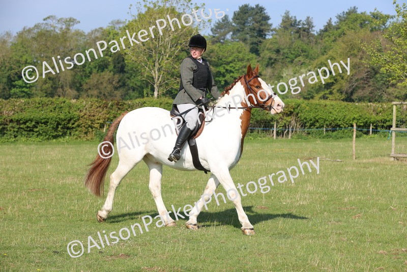 20250427-0510 - Class 17 - Novice Showing