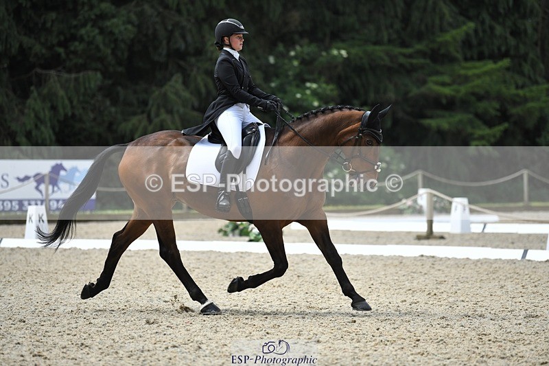 230525-114520-01894 - 103-CLOUDED_LEOPARD-Jessica_Coombes-WEDTrotUp+DR
