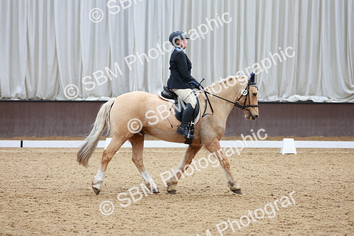 SBM_001071 - Class 5 - Novice 1