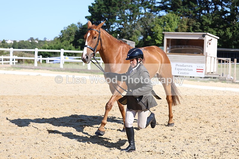3E7A5592 - Class 9: Open Ridden Hunter