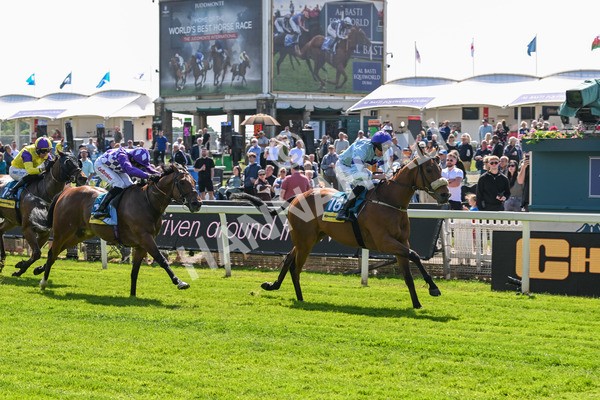140525-Race 2-Rousing Encore-1824 - Race 2 2.42pm Churchill Tyres Handicap