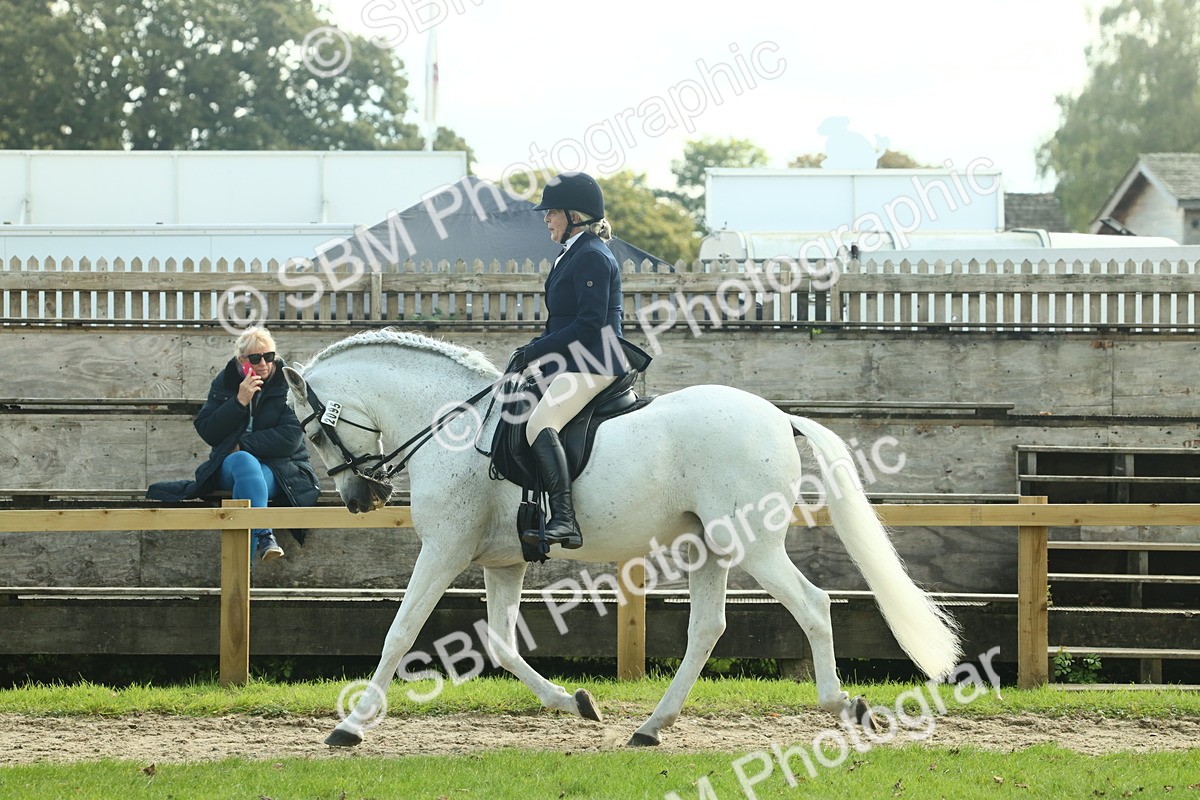SBM_62425 - S62 - Foreign Breeds Ridden