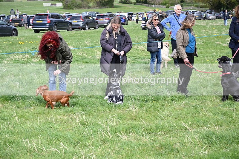 WJ6_8216 - Class 4 Prettiest Bitch