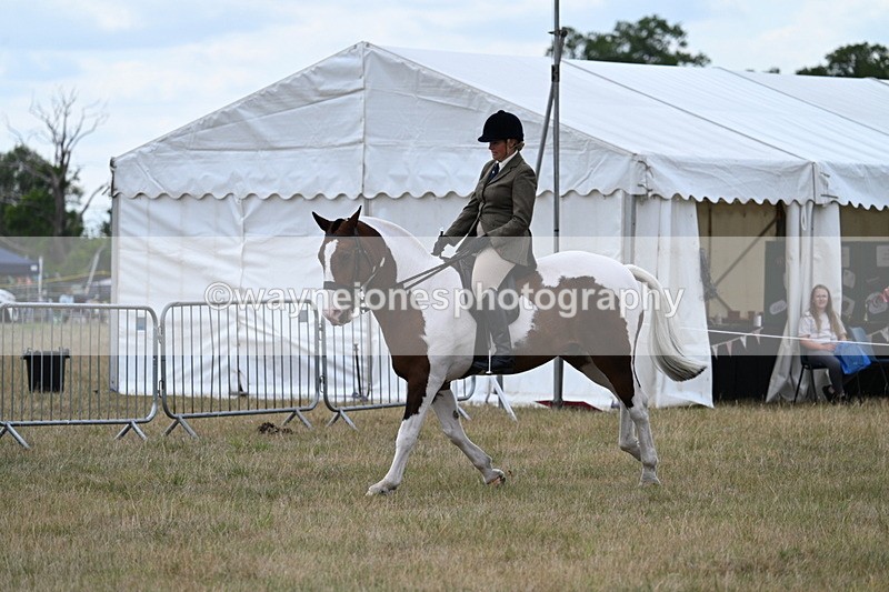 WJ7_5202 - Class 12 Ridden Cob