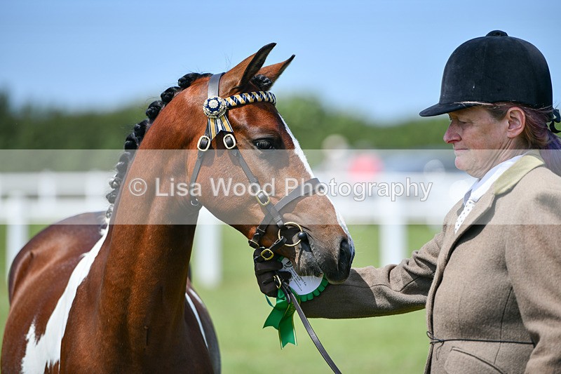DSC_7436 - Class 62: Coloured Pony Youngstock