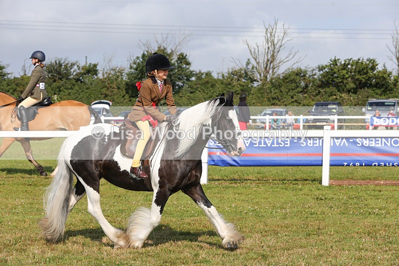 1X9A3422 - Class 28: Ridden Native/Trad Coloured Pony