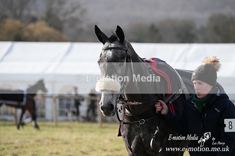 PtP 220225 4 - Kimblewick Point-to-Point  Kingston Blount 22/02/25