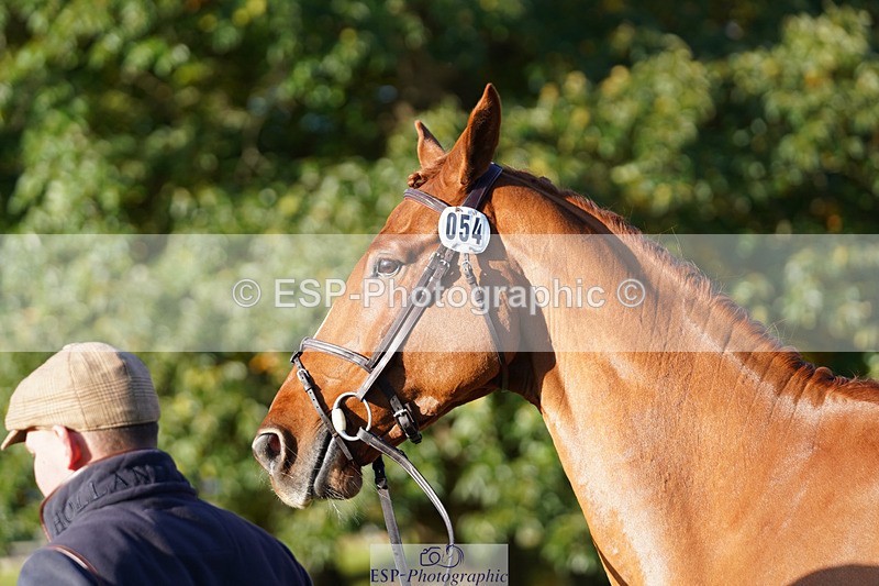 241026-100318-11572 - 054-Matthew.Heath-DASSETT.VENTURE