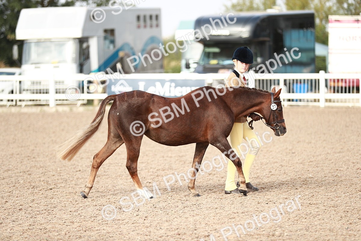 SBM_10488 - Class 204 Young Handler, 11-16 years