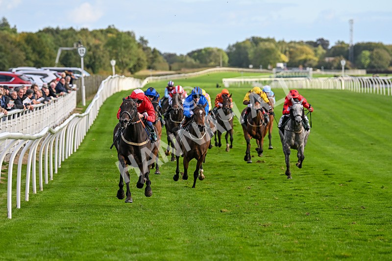 021024-Race 6-Redrosezorro-9630 - Race 6