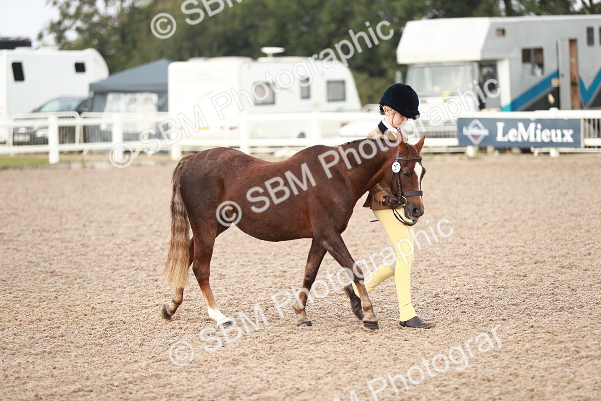 SBM_09477 - Class 201 Best Turned Out IH