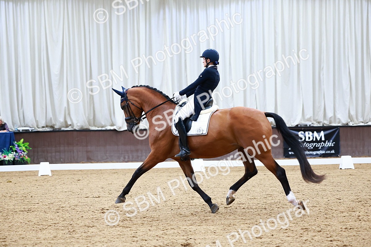 SBM_012110 - Class 3 - FEI PSG - 10.43-11.39