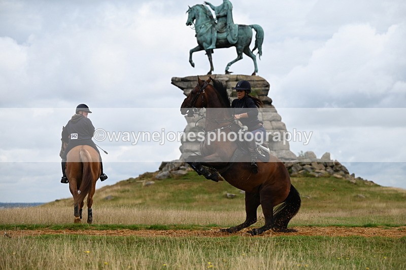 DSC_4288 - Time at Statue 09:50 to 11:09
