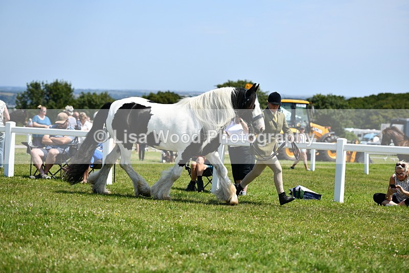 DSC_7624 - Class 64: Coloured Pony 4yrs & over